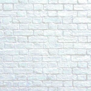 White Bricks